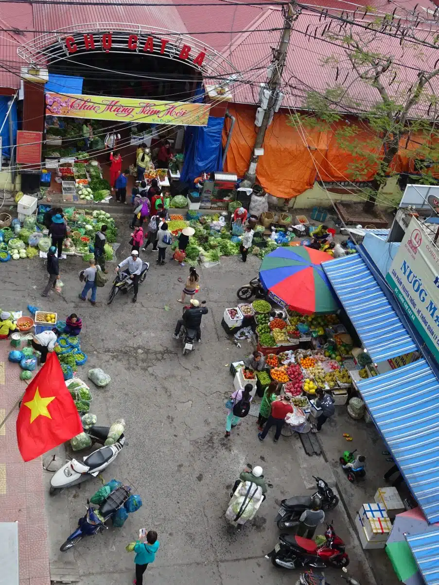 Discover what two Vegans learned after a year living in Hanoi!