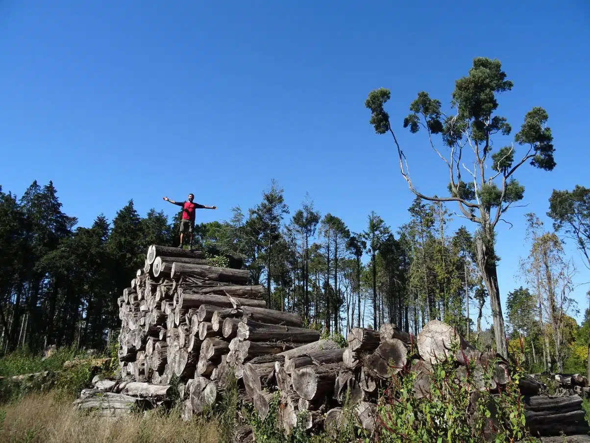 Why Sintra is NOT a Day Trip
