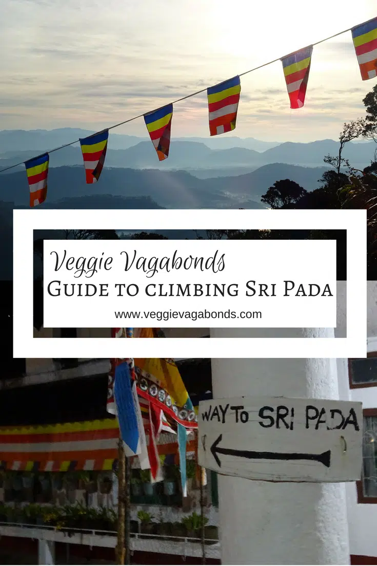 A Guide to Climbing Sri Pada (Adam's Peak)