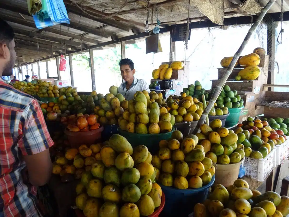 Vegan in Sri Lanka - An Ethical Eaters Guide