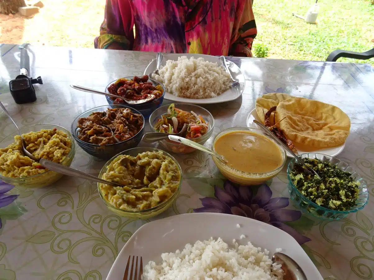 Vegan in Sri Lanka - An Ethical Eaters Guide