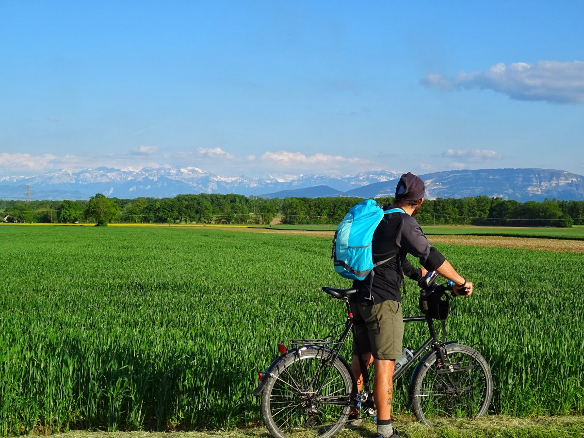 Man on bike looking at the Alps