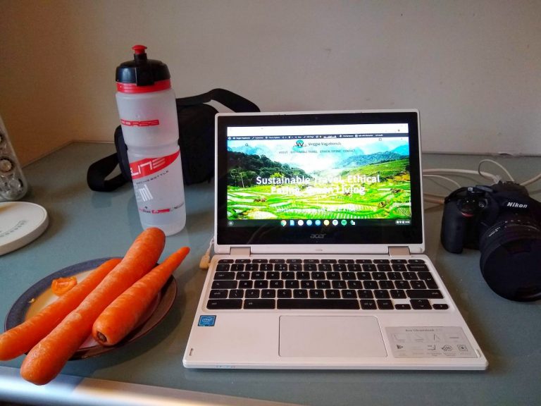 Vegan blogger desk