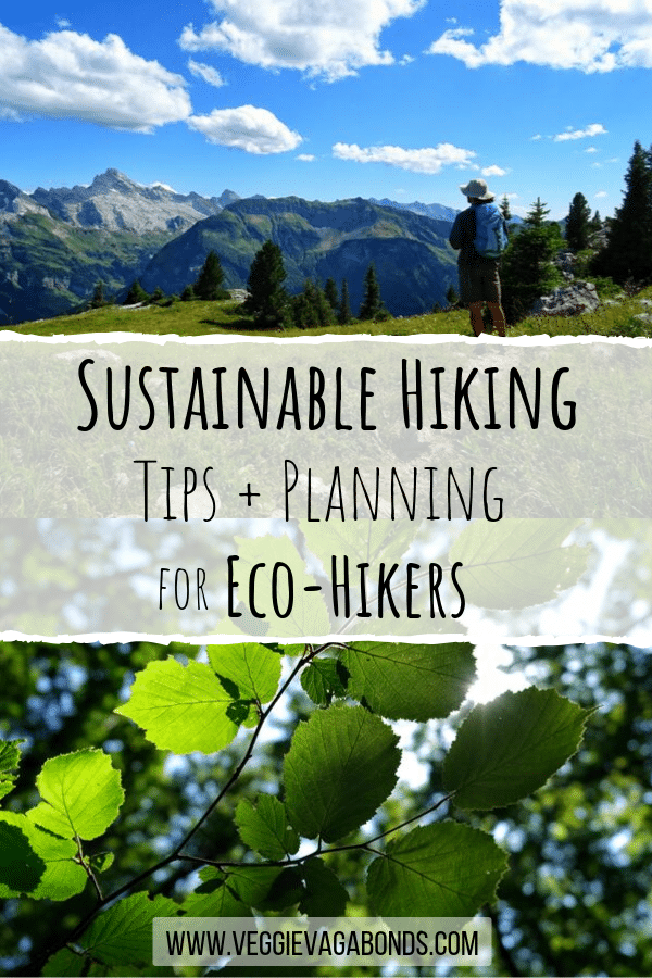Sustainable Hiking Tips Pin