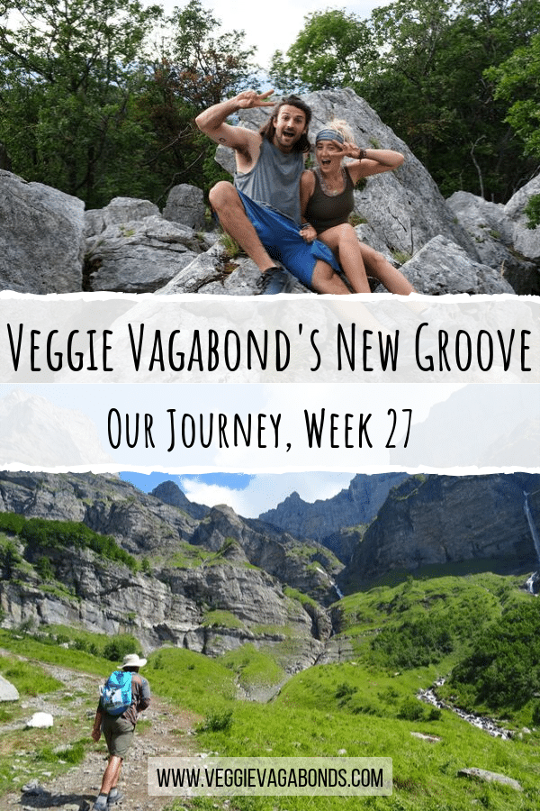 Veggie Vagabonds new groove pin