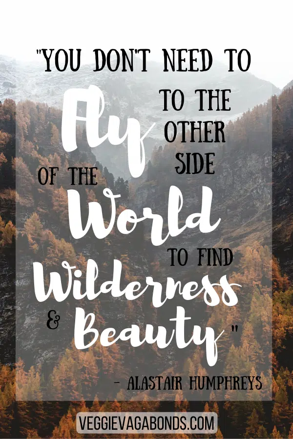 60 Best Nature Quotes — Beautiful Sayings About Nature