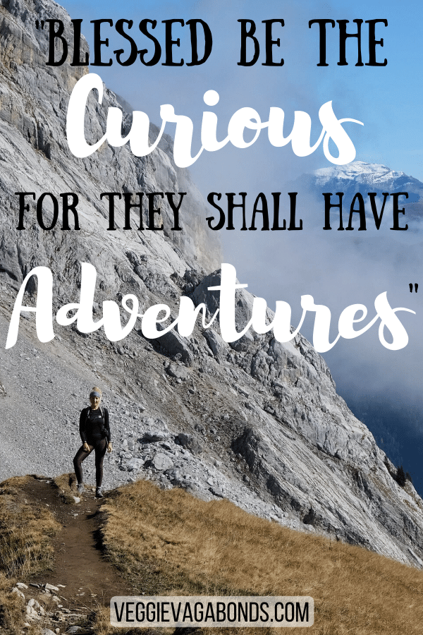 Blessed be the curious for they shall have adventures motivational travel quotes