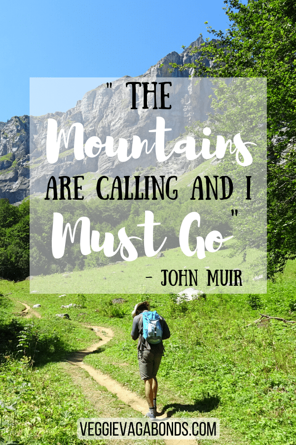 The mountains are calling and I must go, John Muir adventure Quote