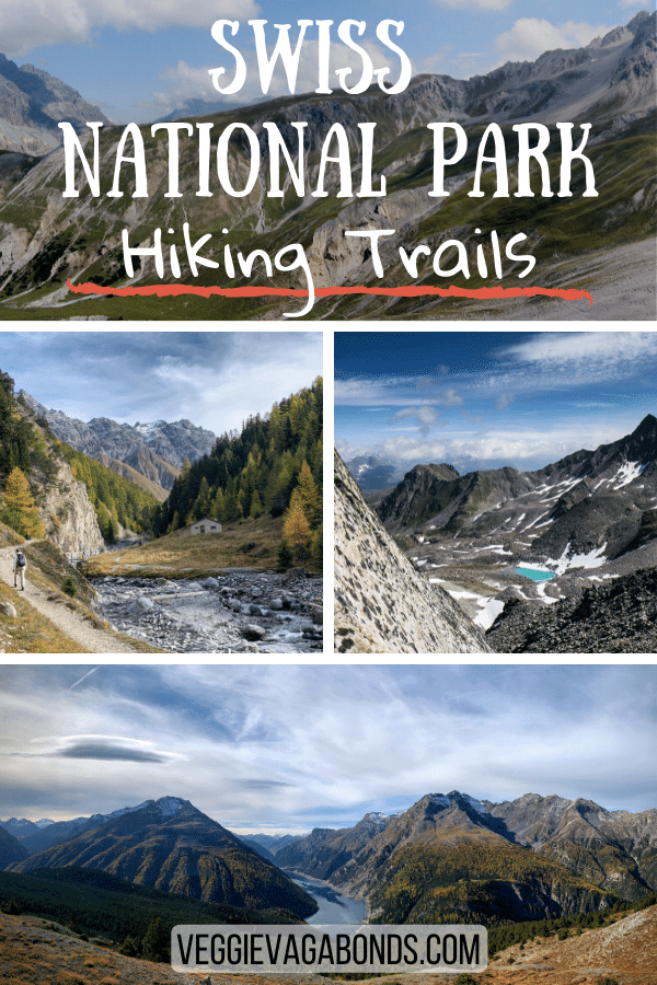 Swiss National Park Hiking Pin