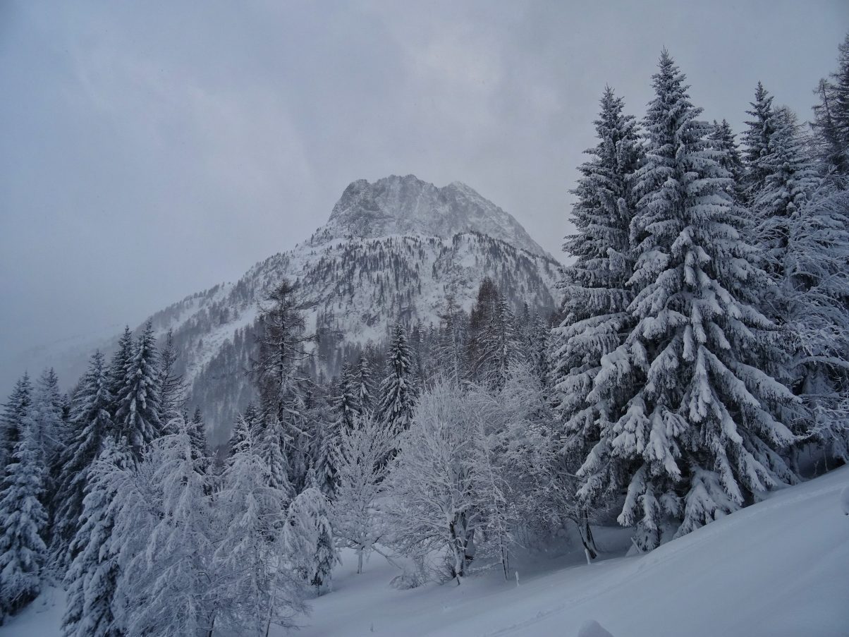 Vallorcine snowshoeing route