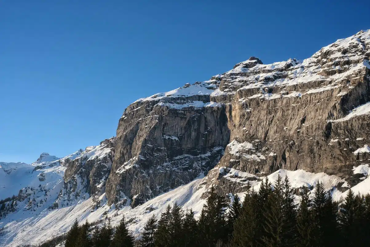 Snowshoeing in Chamonix