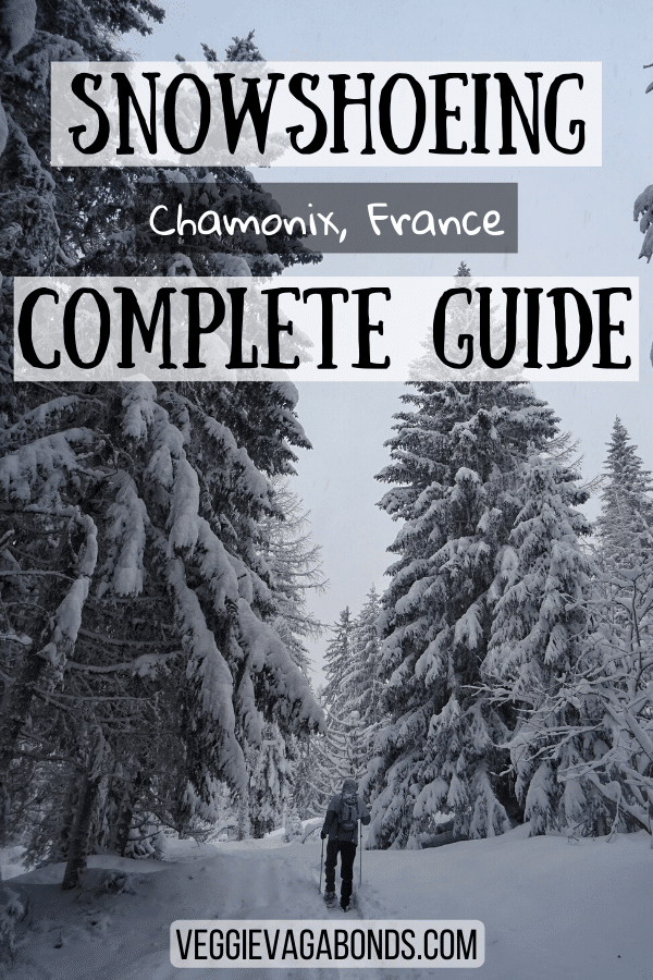 Snowshoeing in Chamonix pin 