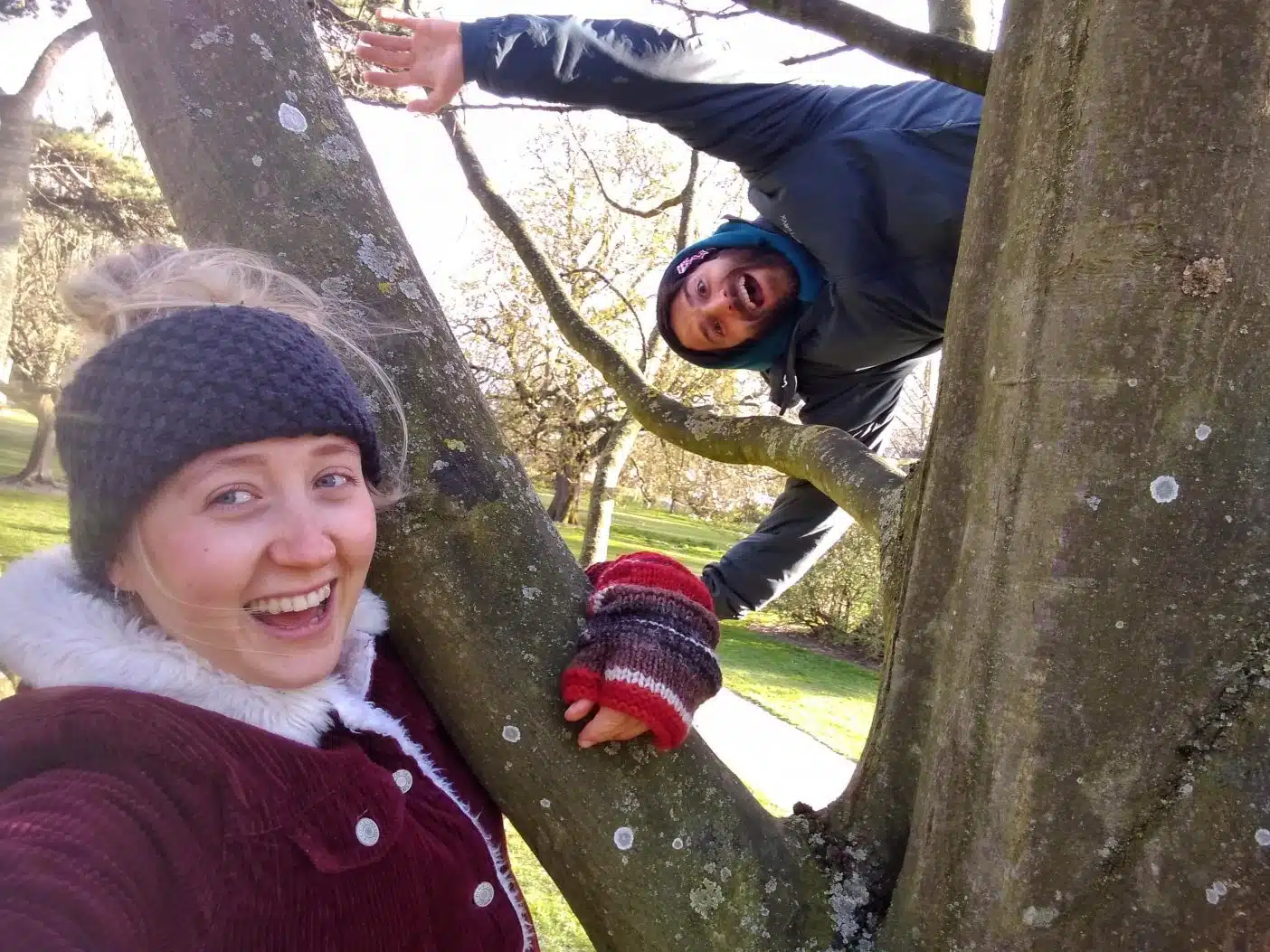 Couple climbing tree