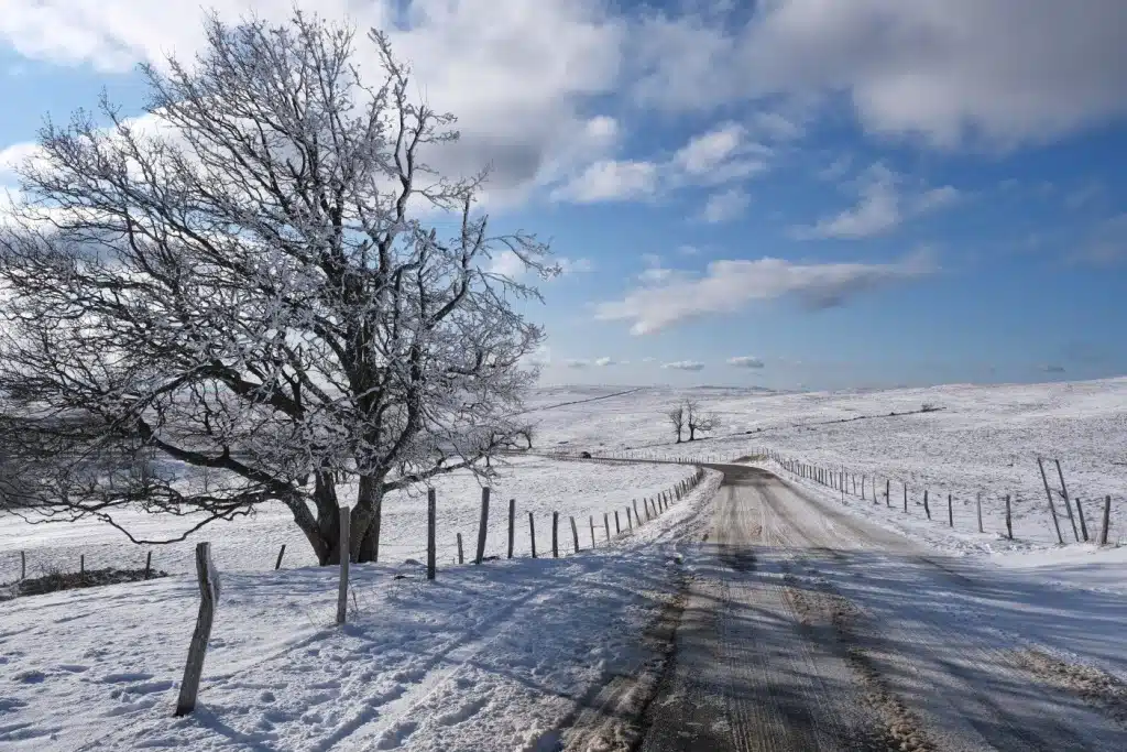 Wintery landscapes