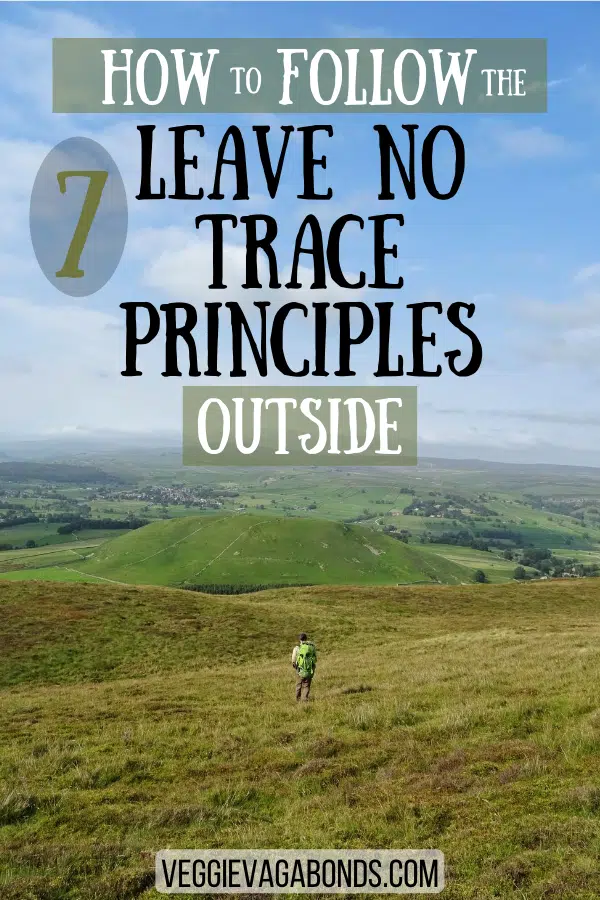 7 Leave No Trace Principles pin