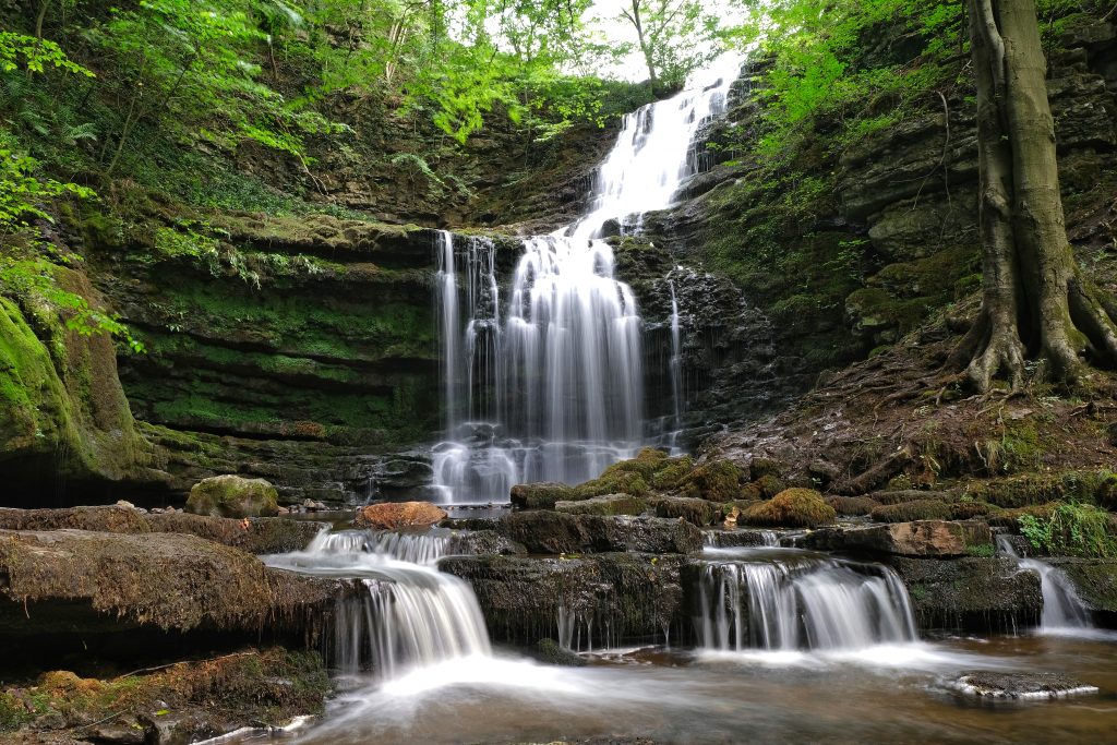 Mossy waterfall with milky water