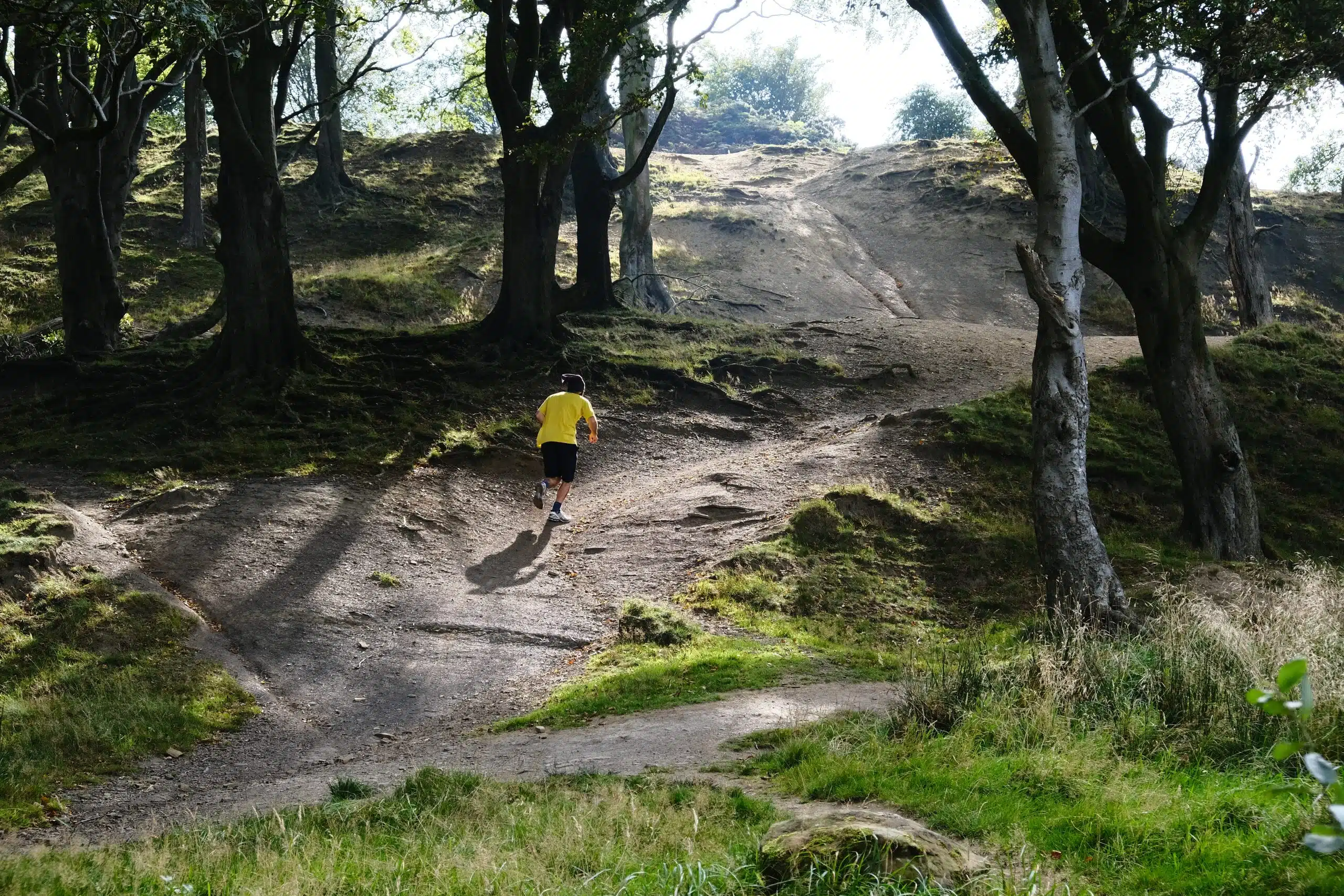 vegan trail runners