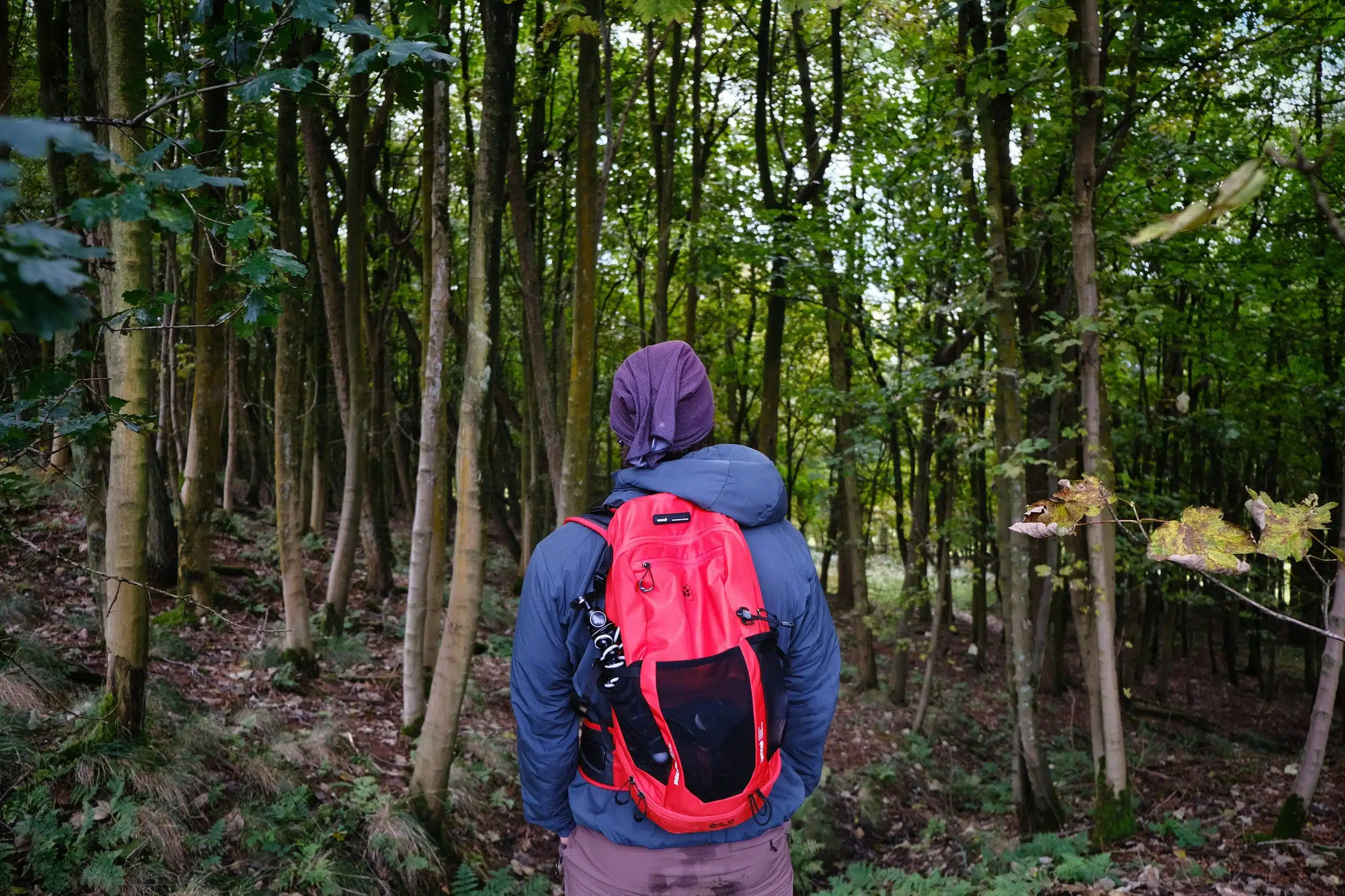 Vegan sustainable online backpack