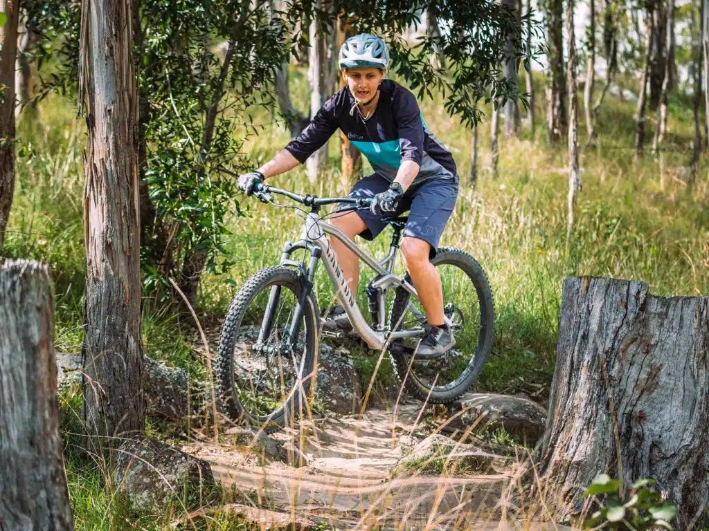 Mountain biking over tree routes