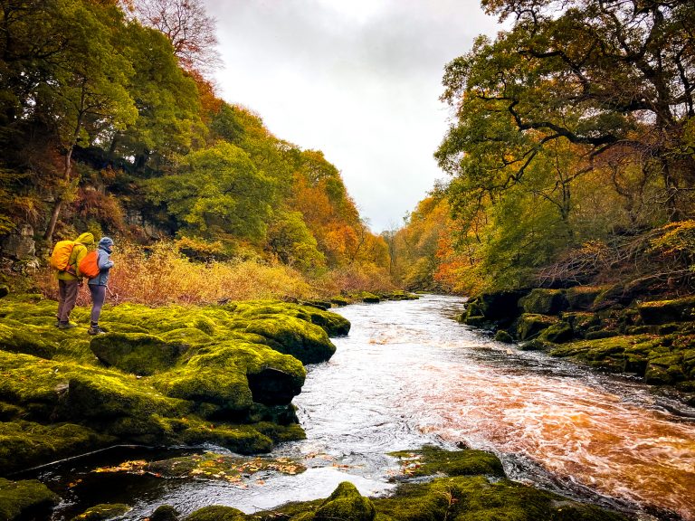 How to Embrace Hiking in the Rain: 15 Watertight Tips