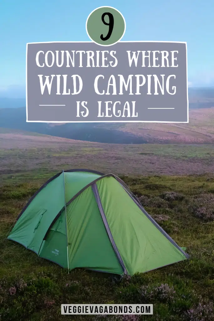 Camping in the wild pin