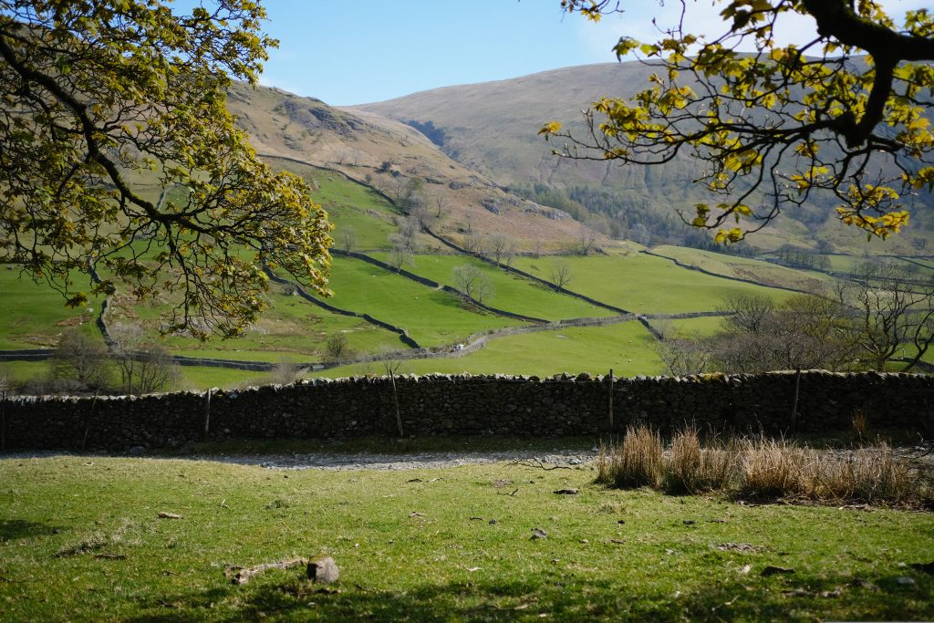 Lake District countryside