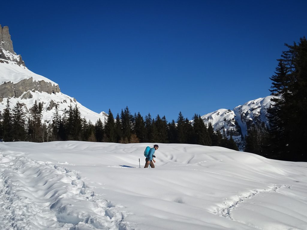 Vegan mountaineer in the Alps