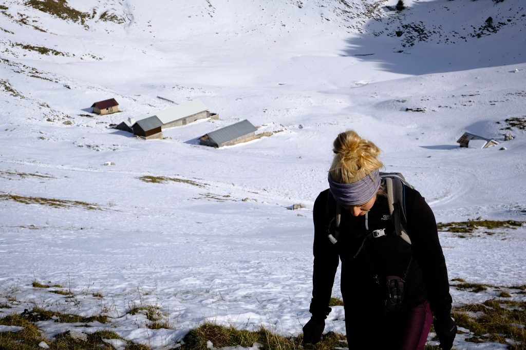 Plant-based mountaineer in the Alps