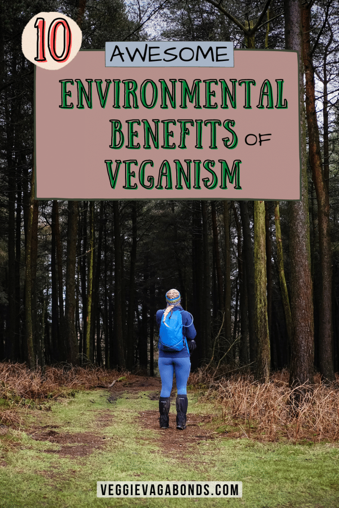 Environmental benefits of veganism