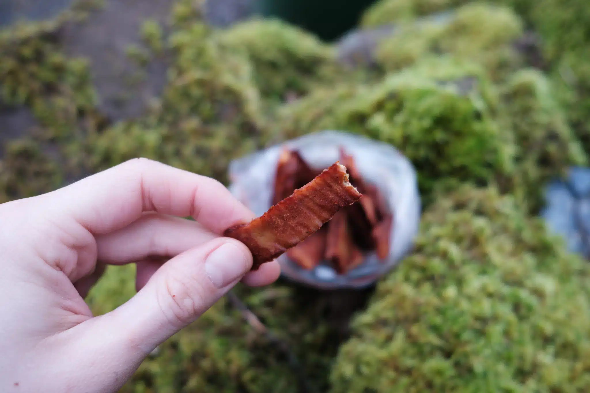 Scrumptious Tofu Jerky Dehydrator Recipe Spicy Tofu Jerky