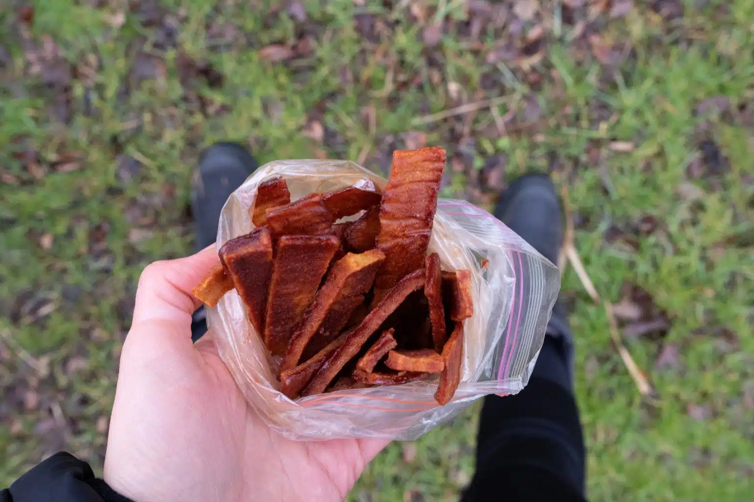 Scrumptious Tofu Jerky Dehydrator Recipe Spicy Tofu Jerky
