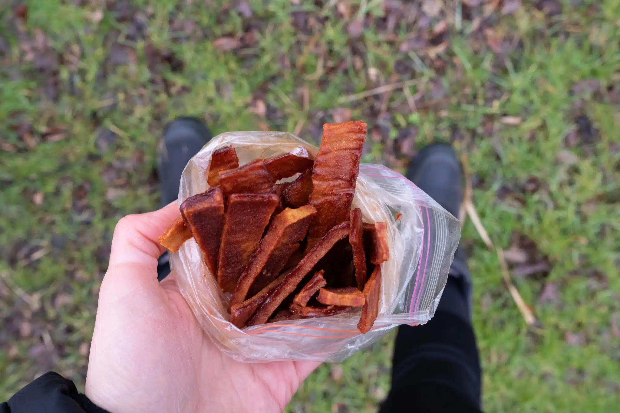 Scrumptious Tofu Jerky Dehydrator Recipe Spicy Tofu Jerky
