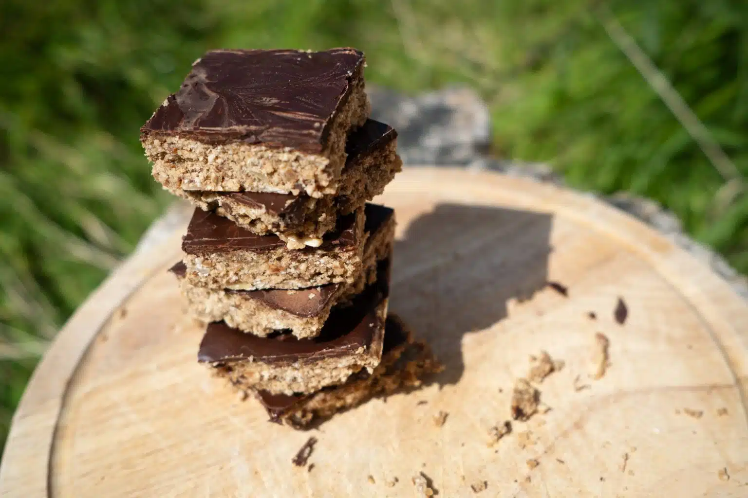 Vegan Chocolate Protein Bars Recipe for Hikers